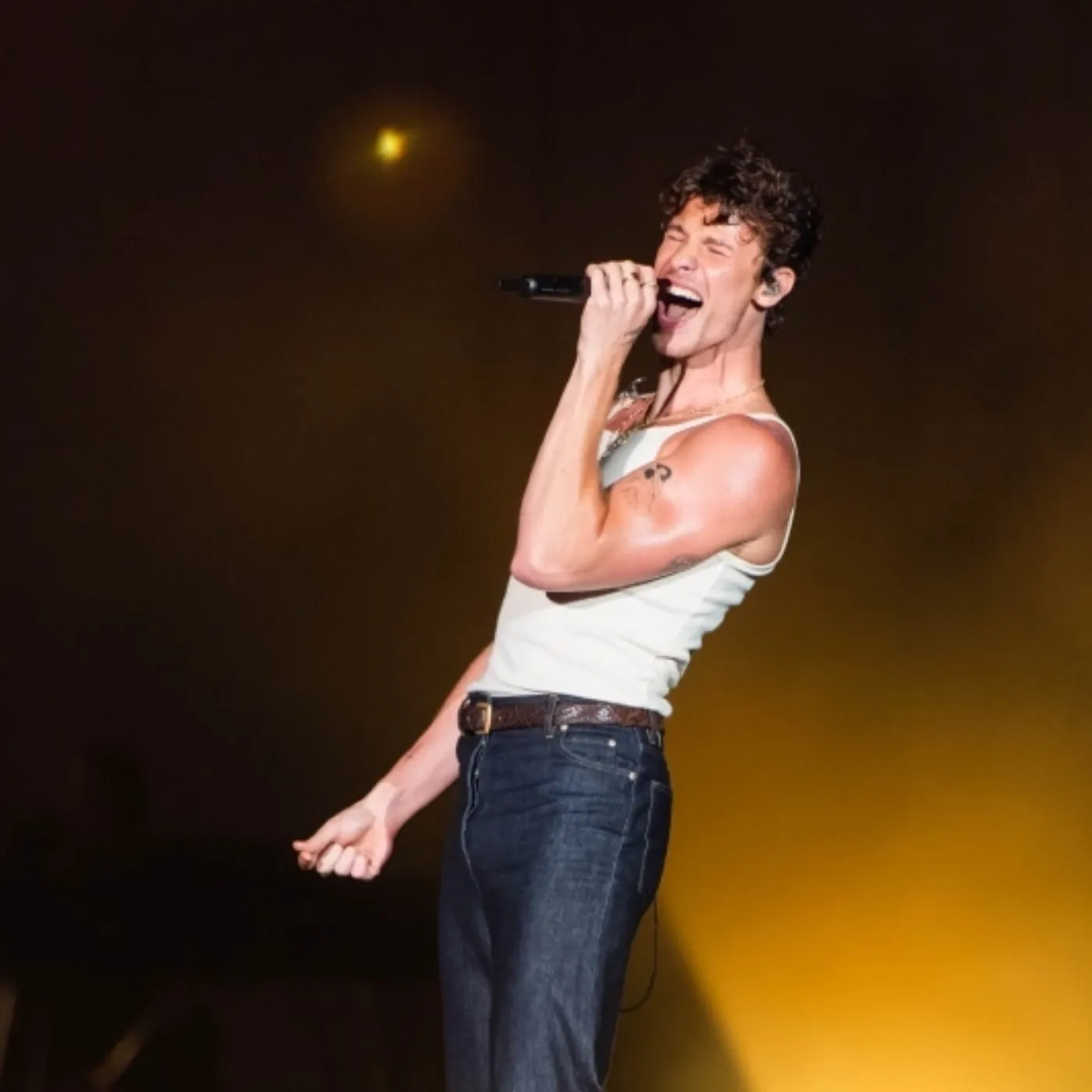 image_67d6efb61ebed The Shocking Truth About Shawn Mendes’ Lollapalooza Mumbai 2025 Performance