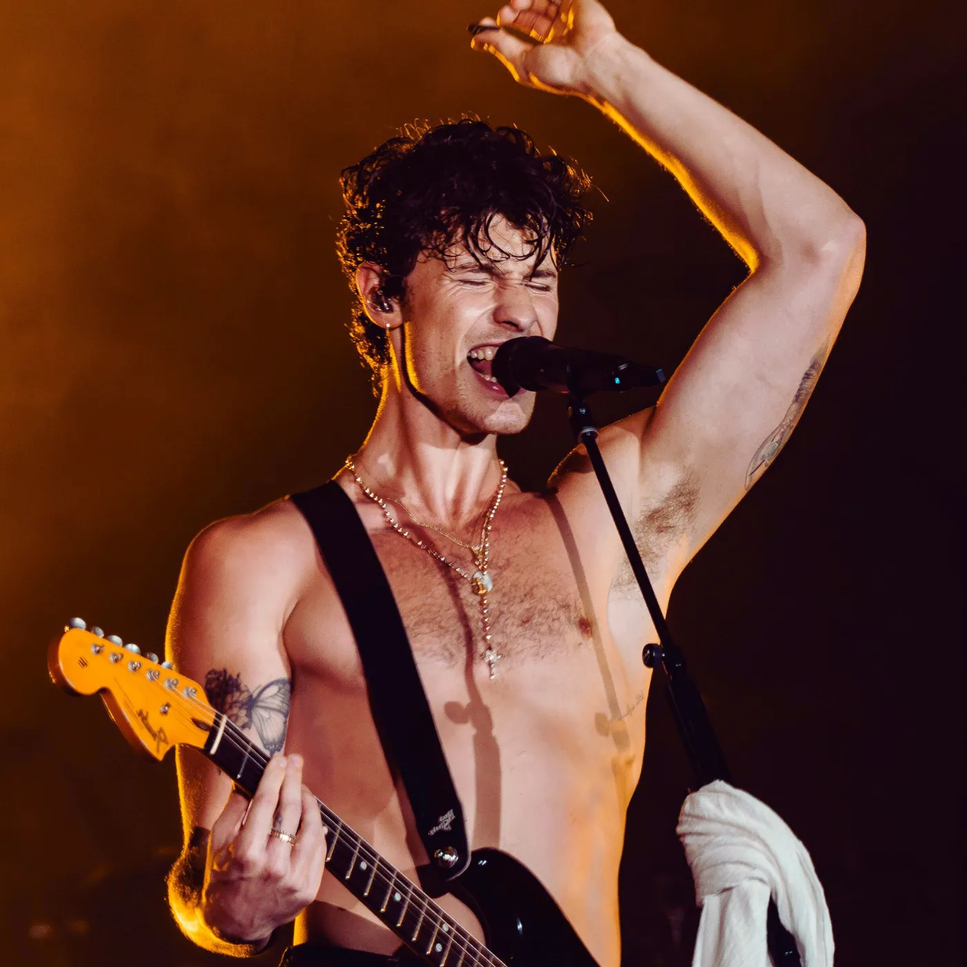 image_67d6efb6e834b The Shocking Truth About Shawn Mendes’ Lollapalooza Mumbai 2025 Performance
