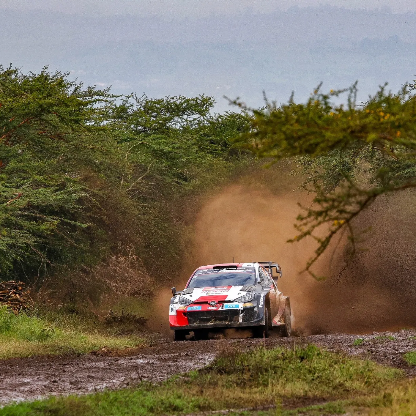 image_67d8f2ba4bd2d The Ultimate Test Begins—Kalle Rovanperä Gears Up for the Safari Rally