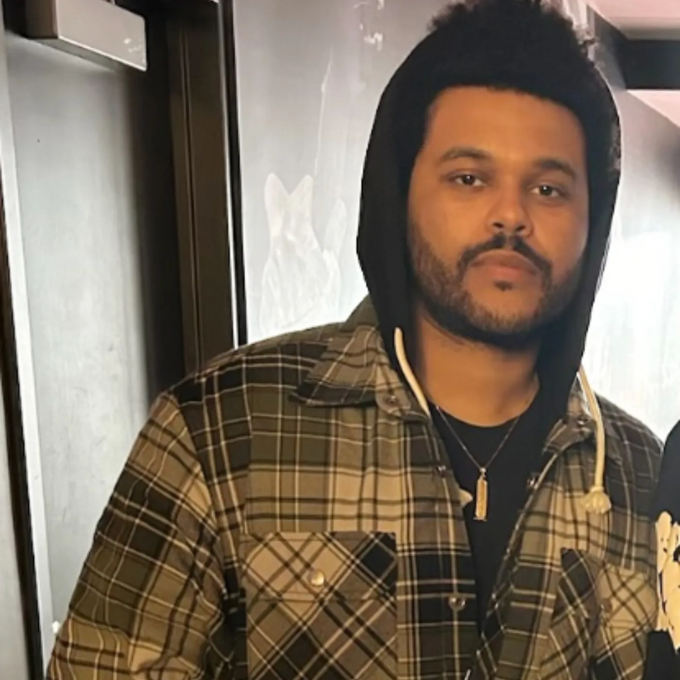 Playboi Carti Shocks Rolling Loud: The Weeknd & Skepta Join Him On Stage! 19 Playboi Carti Shocks Rolling Loud: The Weeknd & Skepta Join Him On Stage!