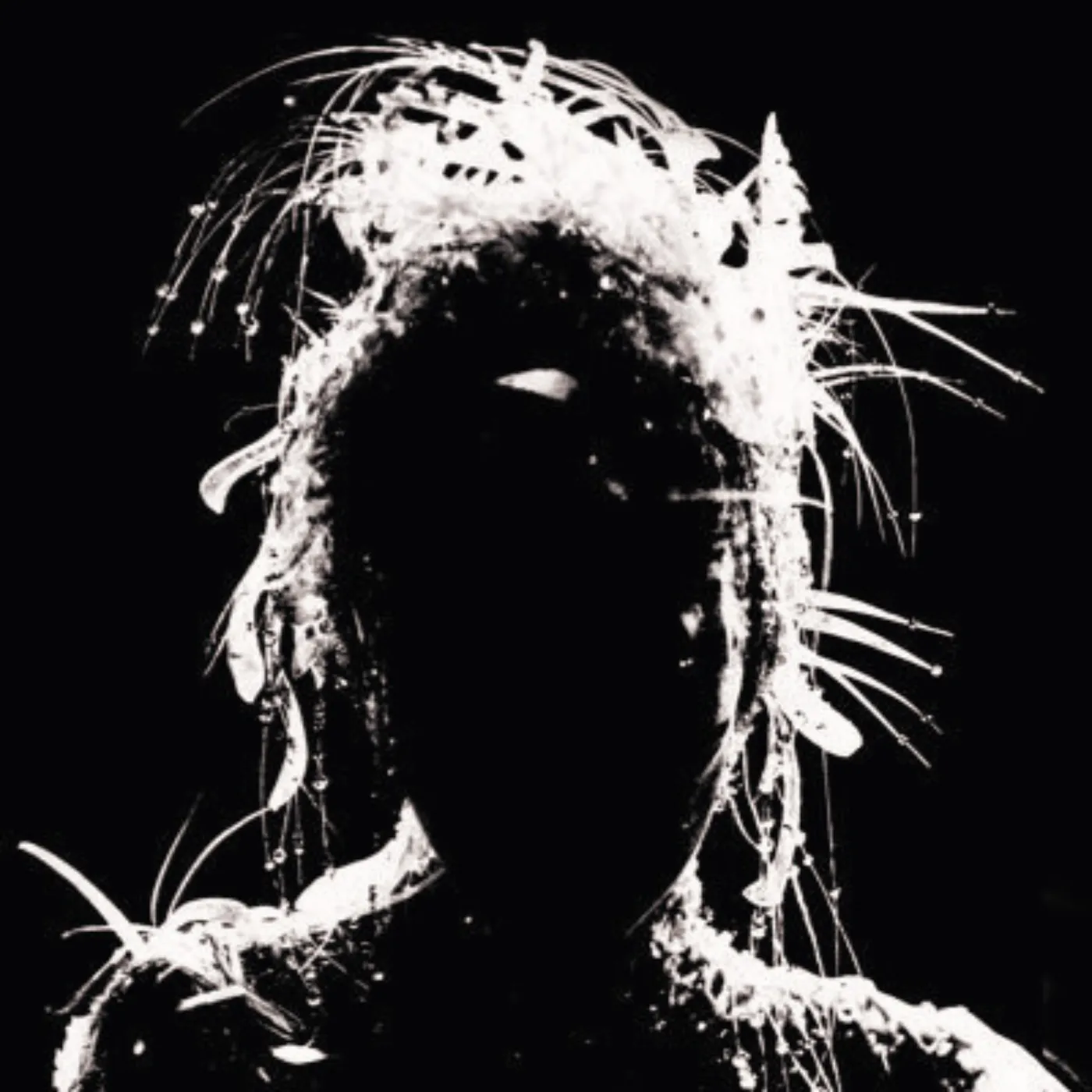 image_67d94f9434d01 A Shocking Reinvention: Miley Cyrus’s New Music Era Changes Everything