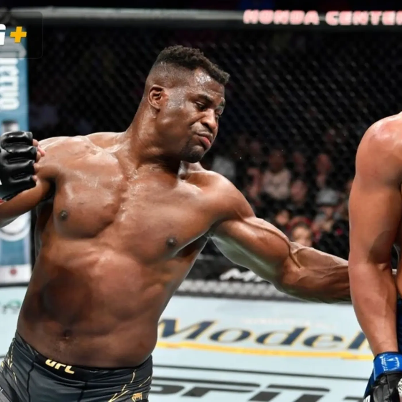 image_67da2d51af5d4 Unstoppable in the Cage, Vulnerable in Life? Ngannou’s Shocking Confession