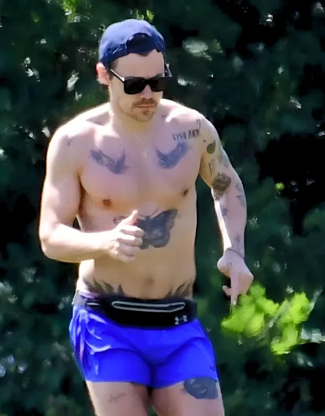 image_67db8b2ddaf02 Harry Styles shocked fans when he appeared looking like a divorced father at the age of 40: What really happened?