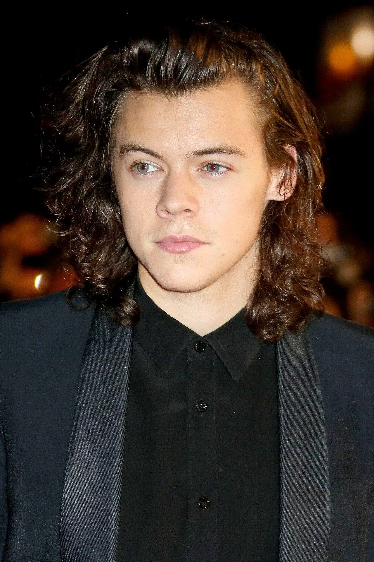 image_67dd1ccf574fa Harry Styles at 21 vs. 31 years old: The transformation from teen heartthrob to global icon