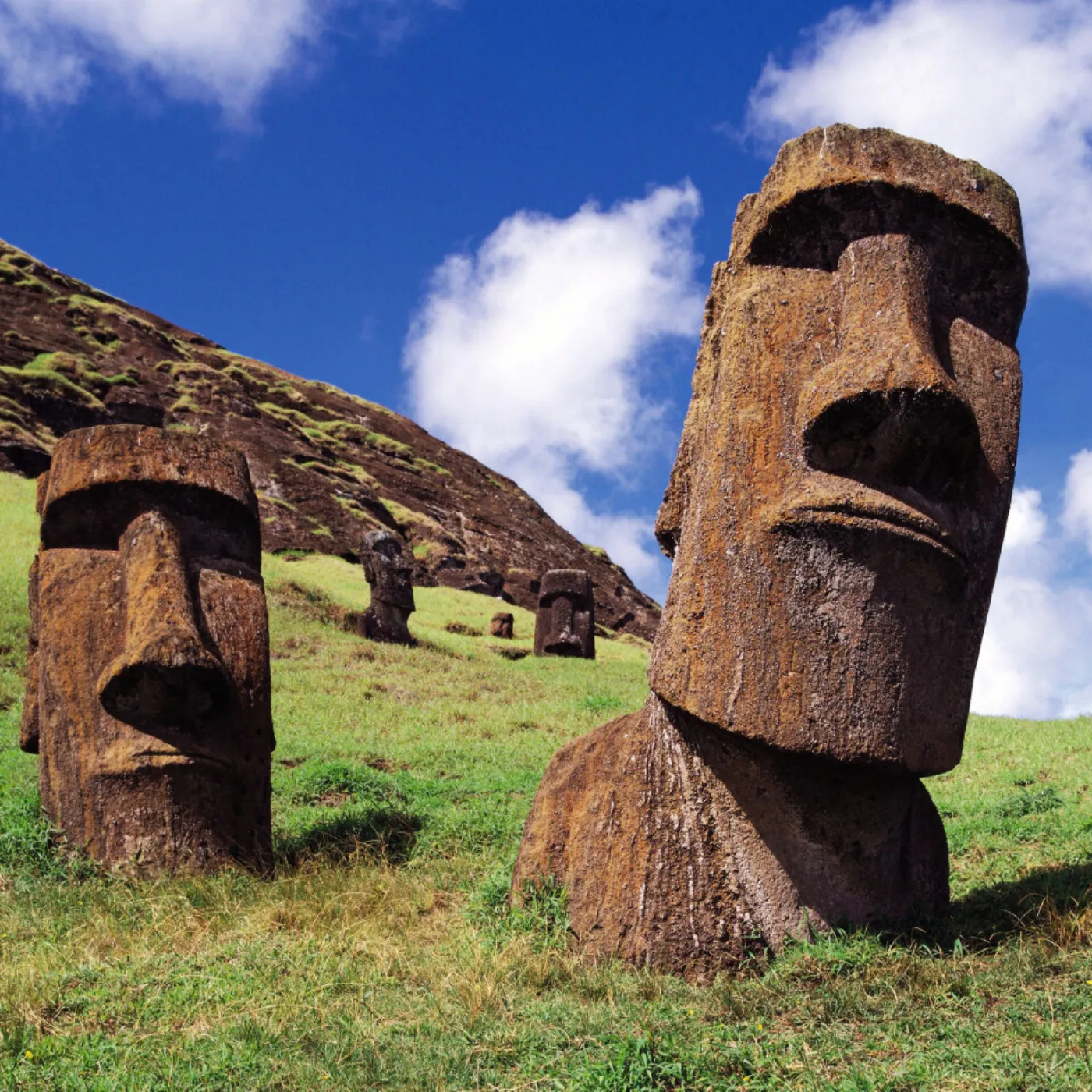 Elon Musk Exposes Moai Statues on Easter Island as Proof of Alien Encounters