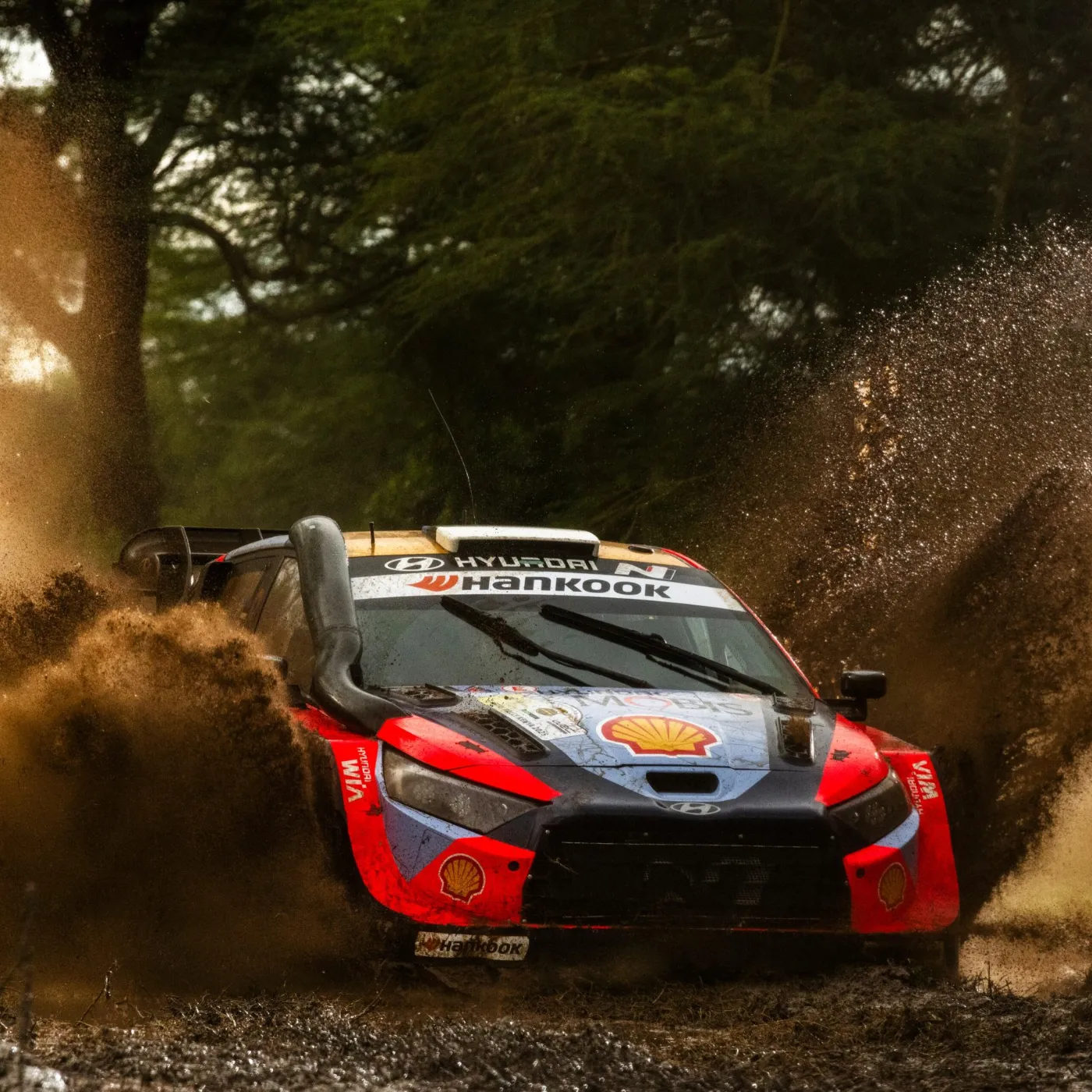 image_67dd2bc97e40d Tänak vs. Evans! A Fierce Fight for the Safari Rally Lead!