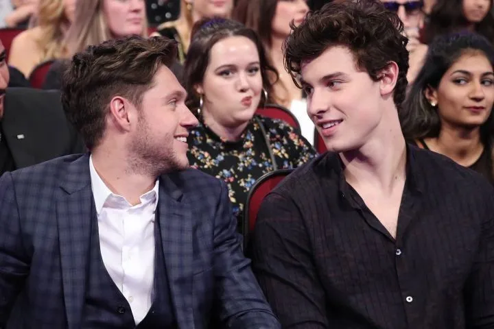 Shawn Mendes & Niall Horan: The Truth Behind Their ‘Special’ Bond