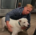 Home Runs and Heart: Pete Alonso Steps Off the Field to Give Shelter Pets a Voice 1 Home Runs and Heart: Pete Alonso Steps Off the Field to Give Shelter Pets a Voice