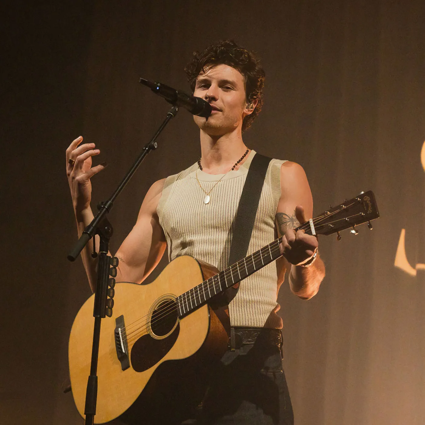 image_6814329854816 Shawn Mendes' Hidden Truths About His Search for Authenticity Shock Fans
