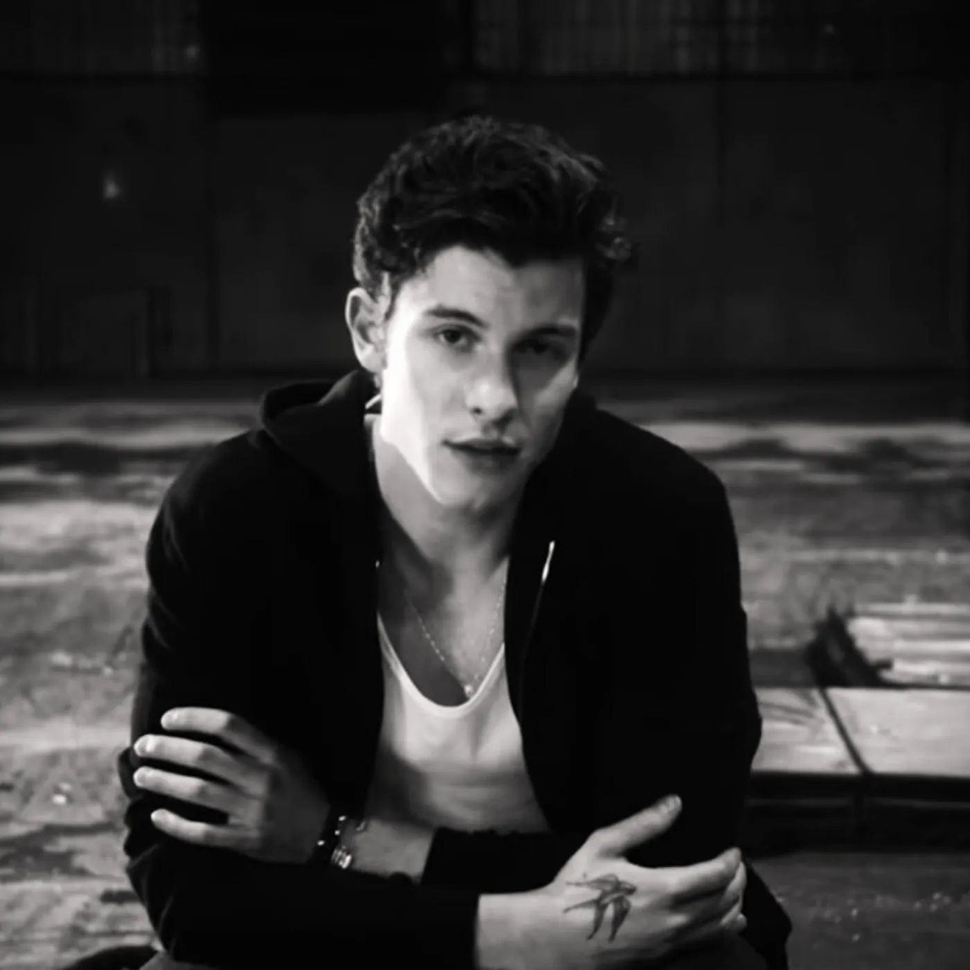 image_68166fdde4aec Six Years Ago, Shawn Mendes Released ‘If I Can’t Have You’