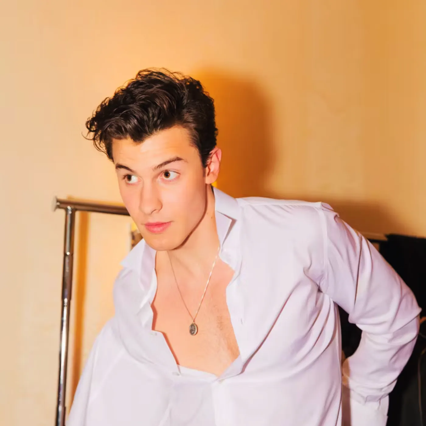 image_681767be56c95 Shawn Mendes’ Met Gala 2025 Outfit Leaked