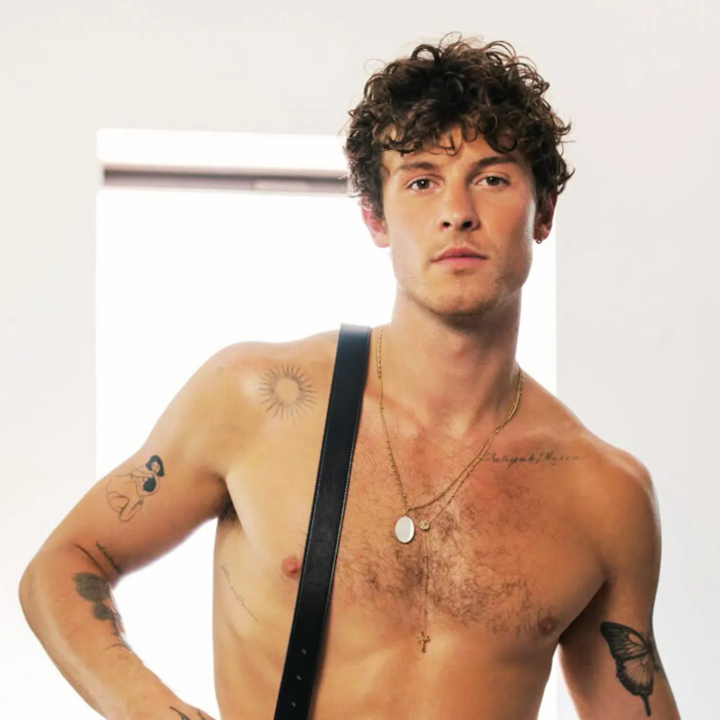 Shawn Mendes Shocks Fans with Unbelievable Album Art Choice