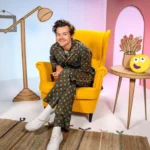 This Is What Happens When Harry Styles Inspires a Bestseller