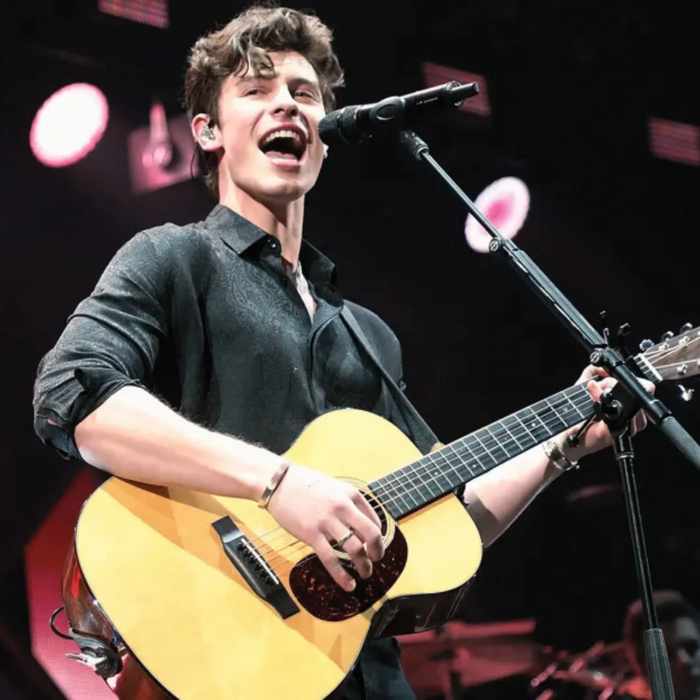 Shawn Mendes Lays Bare His ‘Soulful Bond’ with Harry Styles