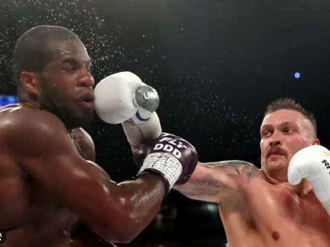 Usyk Is Praised, Dubois Is Criticized: 'This Coward Will Lose by Knockout Again!'