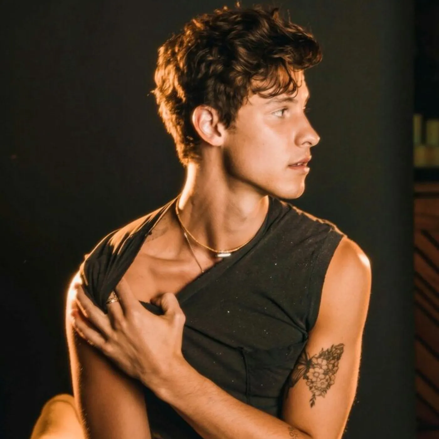 image_682454e9c43d5 Shawn Mendes Spills the Real Story Behind His Breakup with Camila Cabello