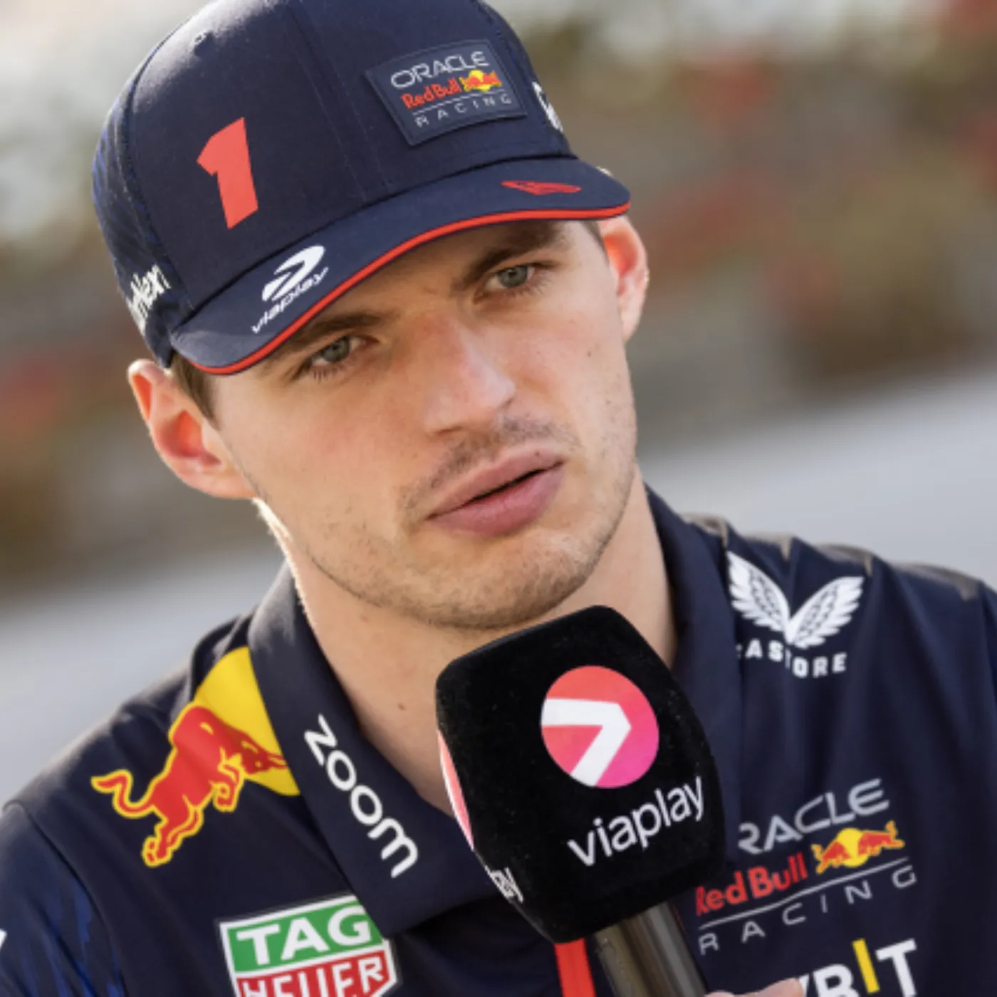 Max Verstappen’s $20 Million Dream: Creating a Rescue Paradise for Thousands of Abandoned Puppies