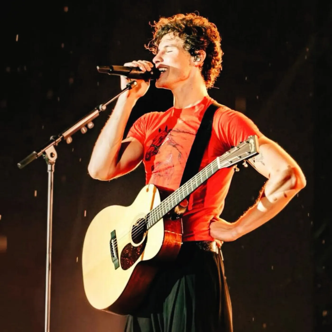 Fan Wars Erupt as Shawn Mendes and Omar Rudberg Set Superbloom Stage for Showdown