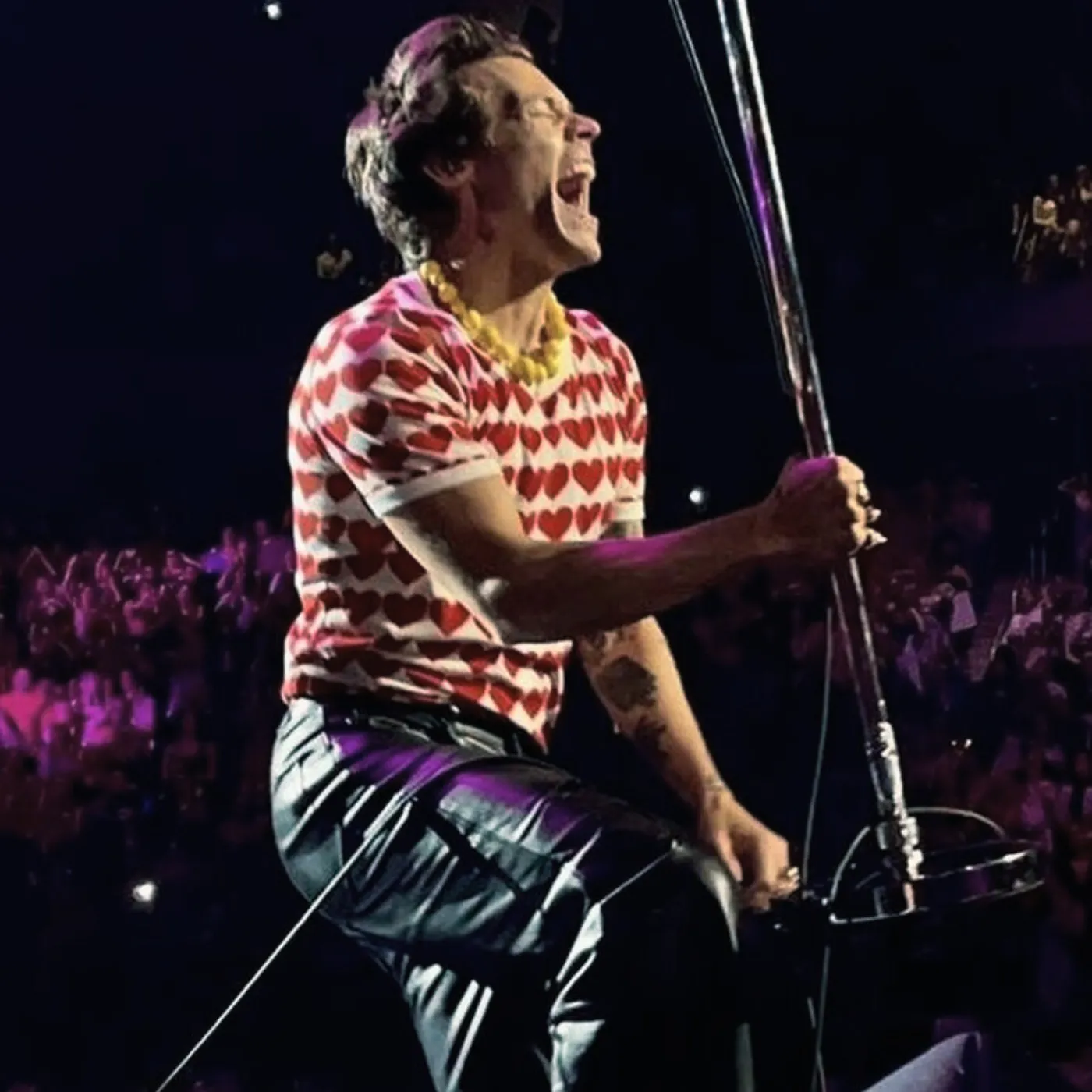 image_68263a56e524a Brittany Broski Sparks Fan Meltdown After Emotional Harry Styles Confession