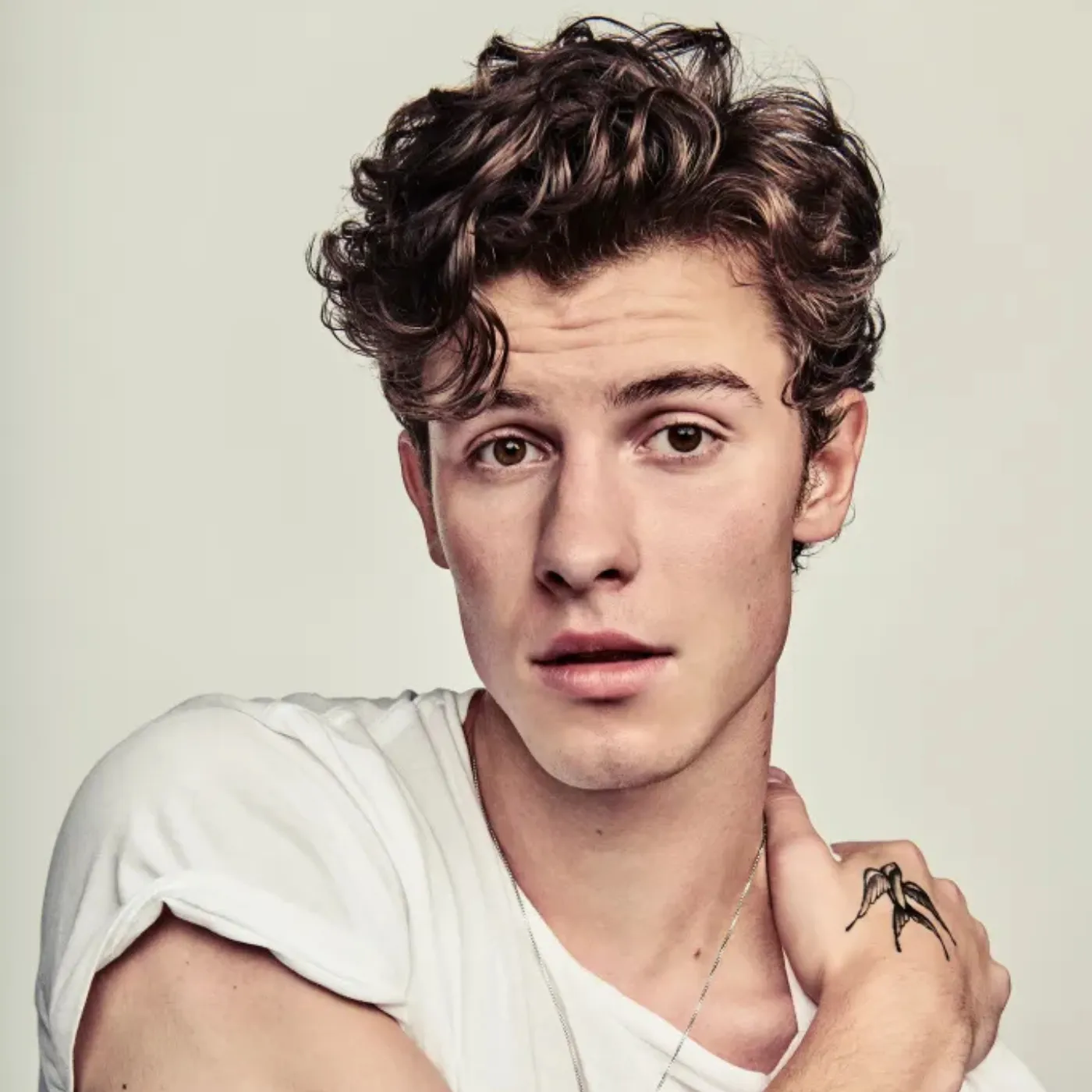image_68295eb6467a0 Nobody Expected This From Shawn Mendes and Kygo