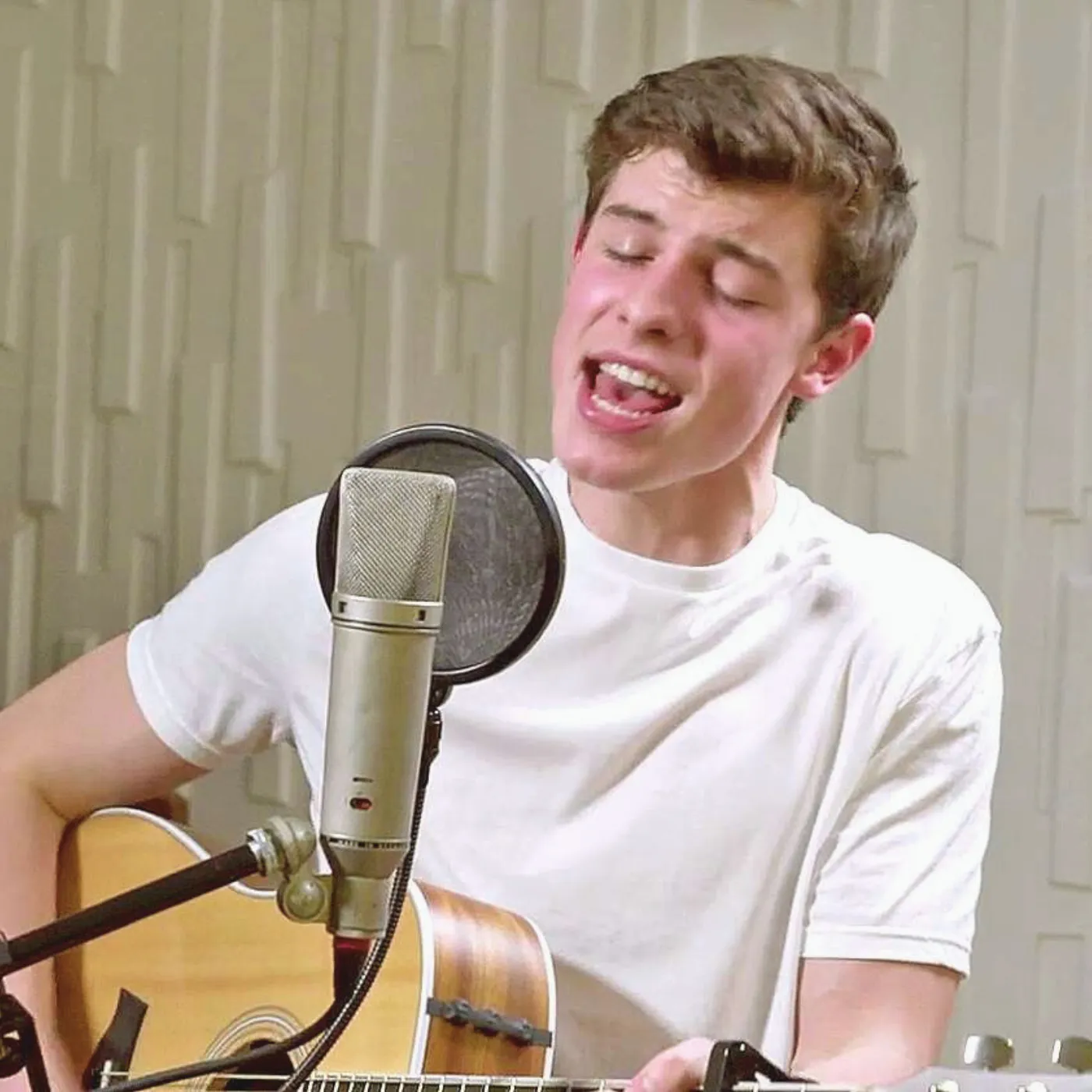 image_682d7250f0576 If Shawn Mendes Doesn’t Keep Singing, This is the Mind-Blowing Path He’ll Take