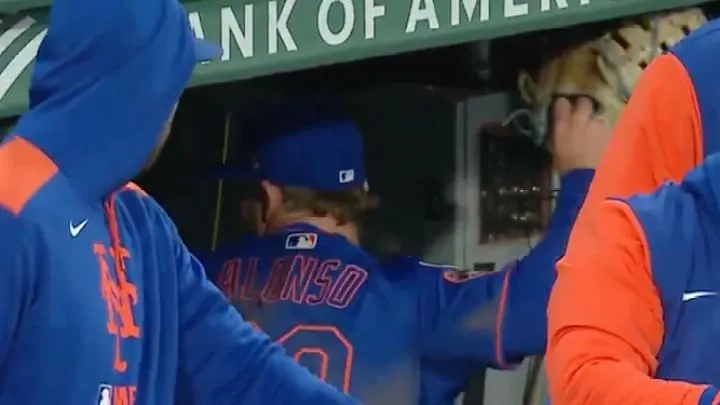 image_682d7eb6913ab Pete Alonso Sparks Controversy with Celebration: Are Baseball Fans Being Too Harsh on the Mets Star?