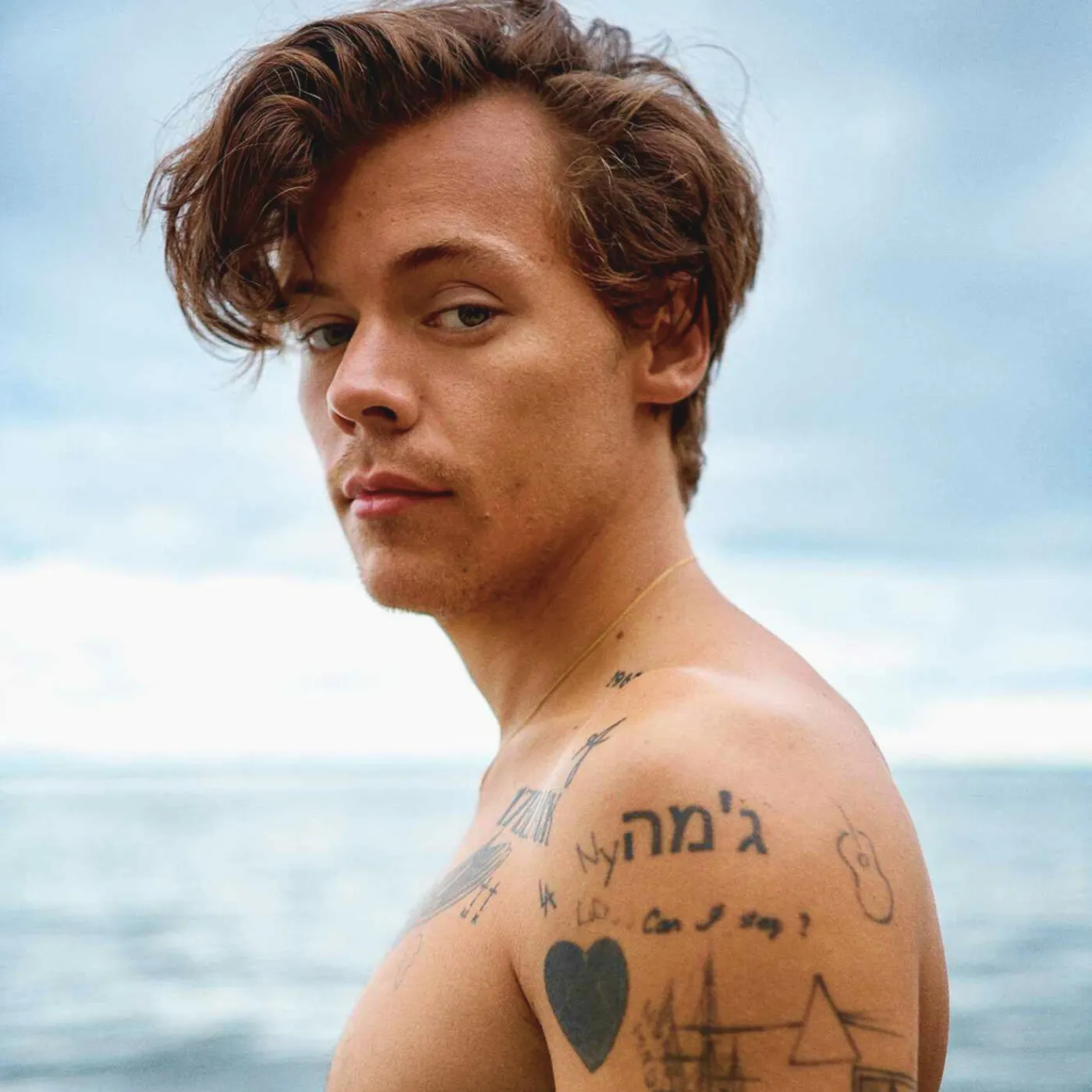 Stevie Nicks Drops a Bombshell: Miley Cyrus & Harry Styles Were Meant to Shake the World 19 Stevie Nicks Drops a Bombshell: Miley Cyrus & Harry Styles Were Meant to Shake the World