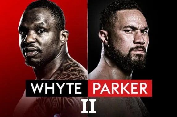 Boxing experts are urging Joseph Parker to rematch Dillian Whyte.