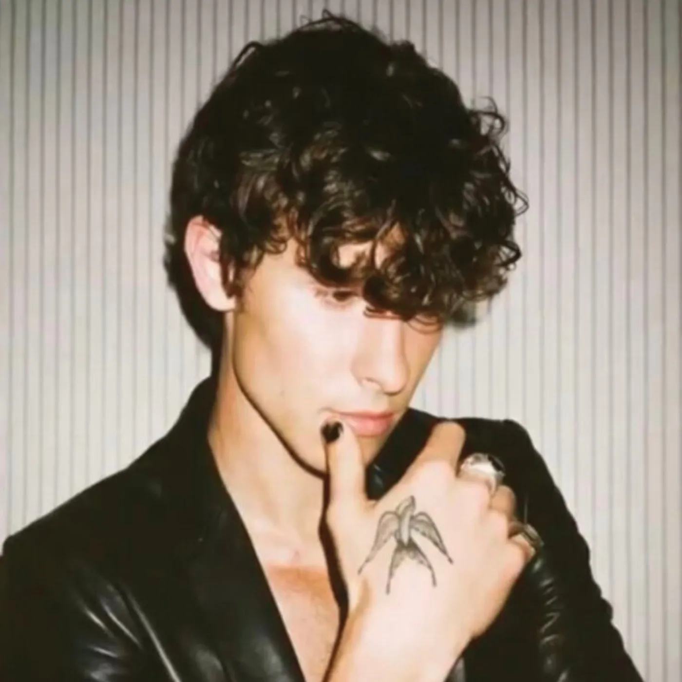 Unexpected Appearance Sparks Frenzy Around Shawn Mendes’ Mysterious Boyfriend