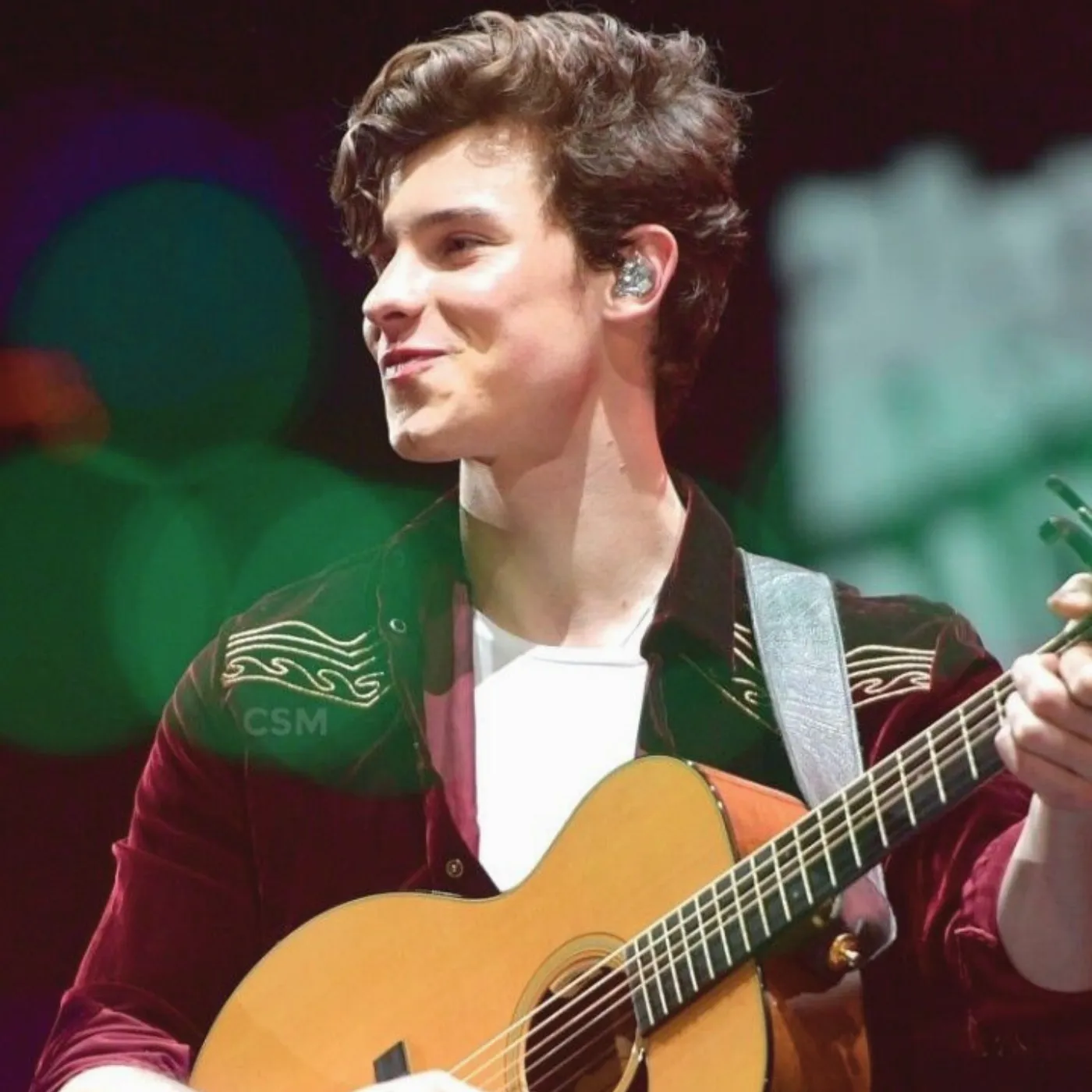 image_683132cf2b01e What Shawn Mendes Desperately Tried to Hide from the World