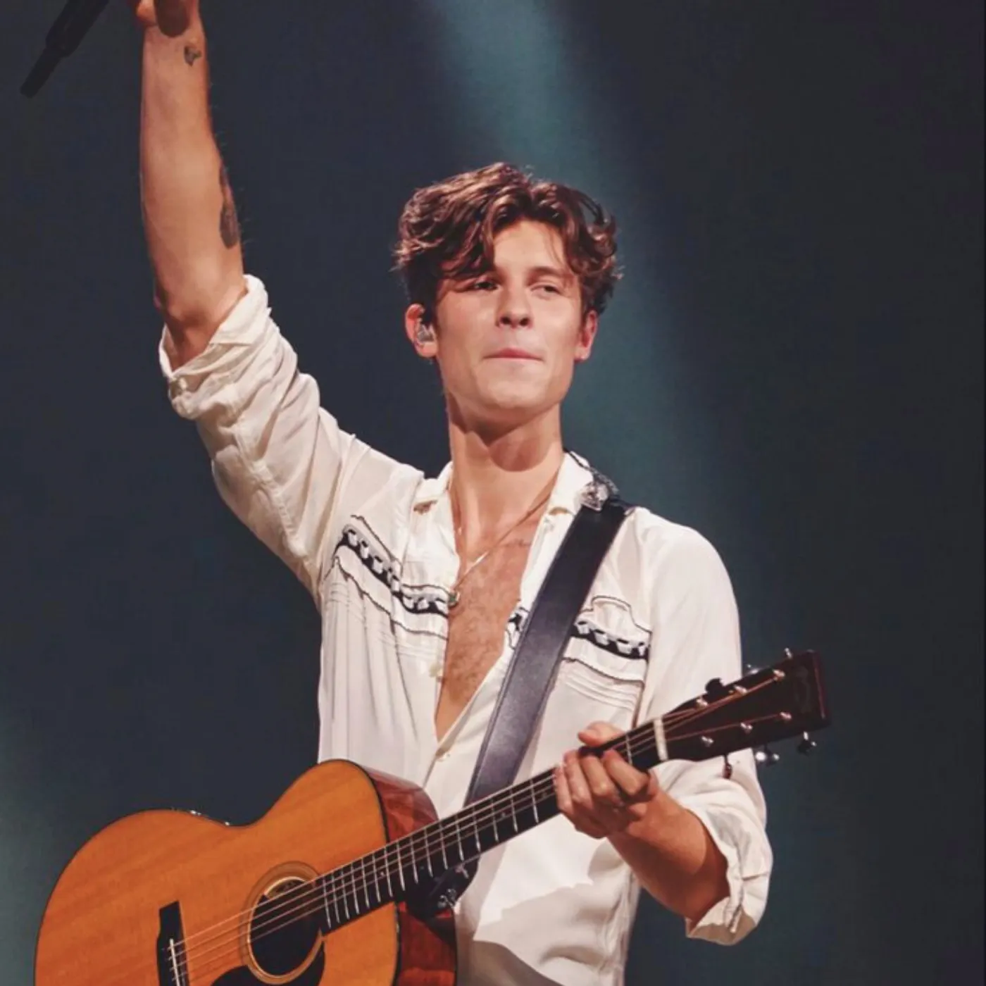 image_683132d0b9c2b What Shawn Mendes Desperately Tried to Hide from the World