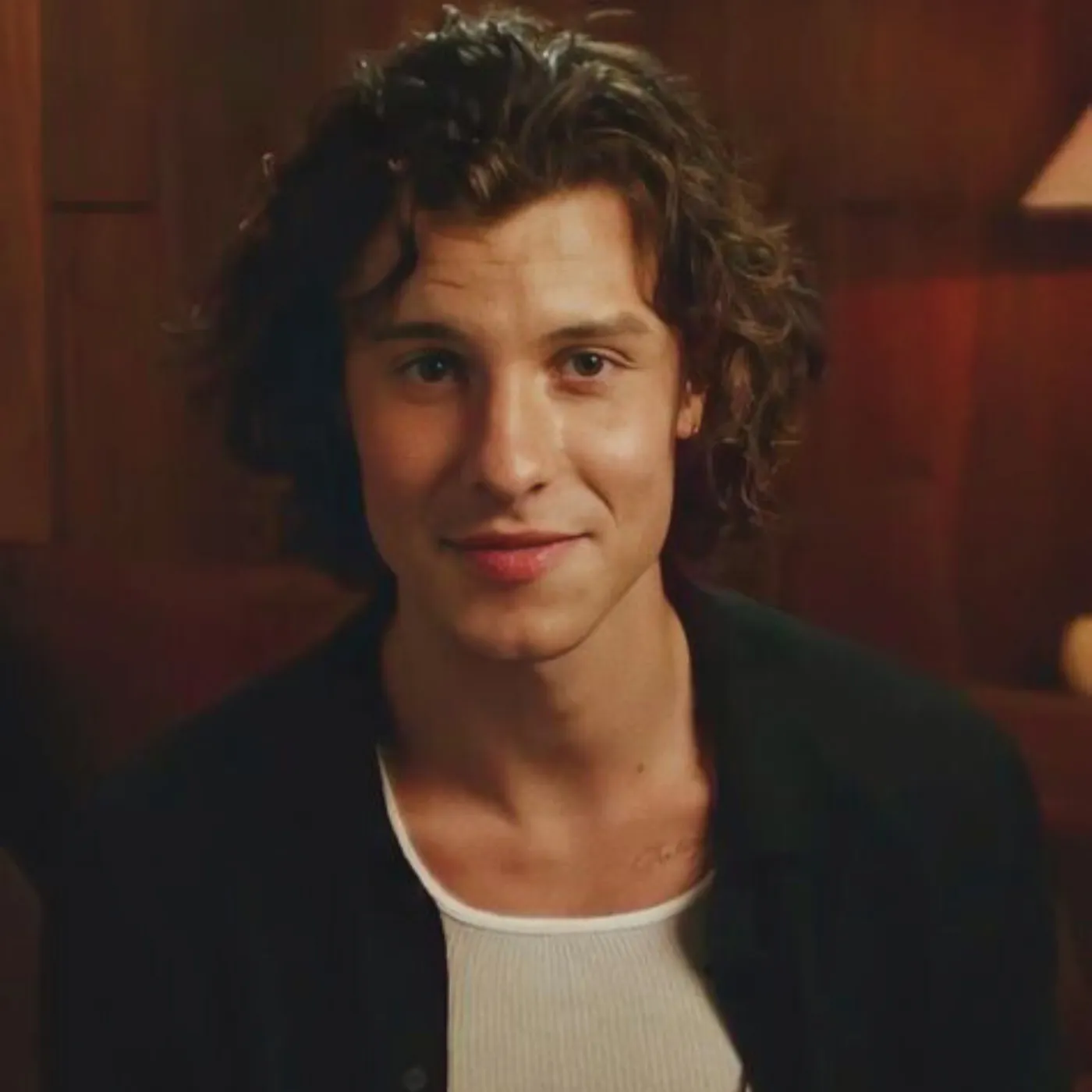 image_68329a87431ad People Didn’t Realize How Powerful Shawn Mendes’ Album Was Until Now