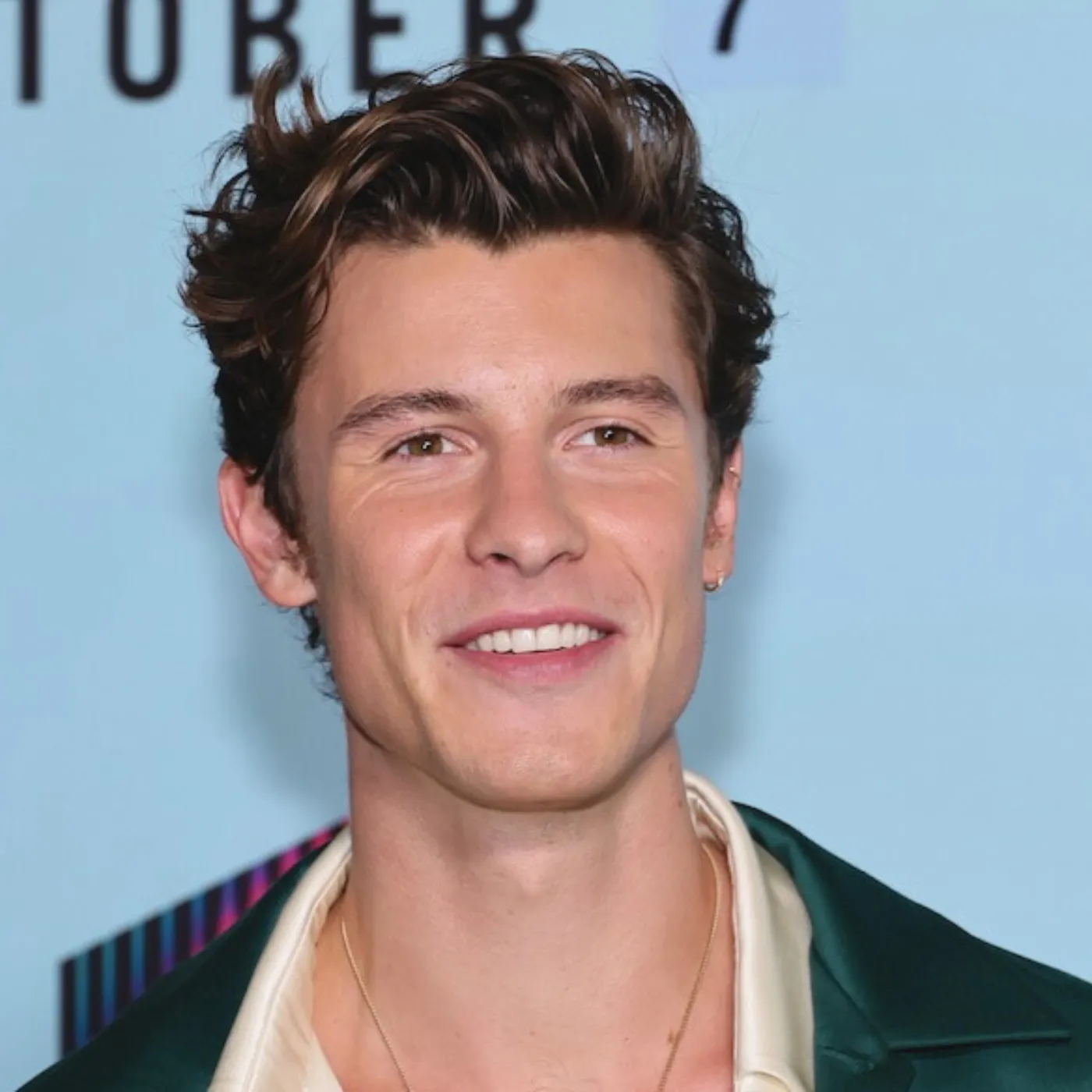 image_6832f344456bf Shawn Mendes and Robert Irwin Were Caught Doing What Off-Camera?