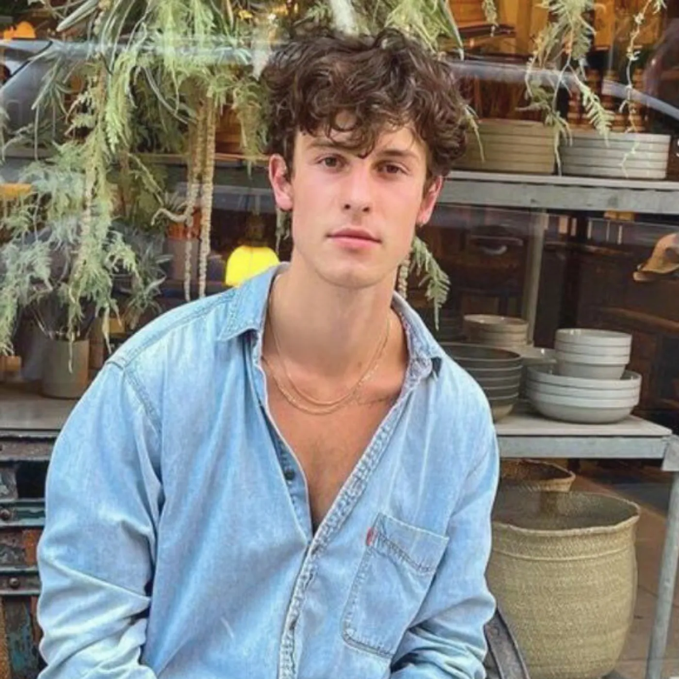 image_683412b5221df Shawn Mendes Steals Spotlight At Demi Lovato Wedding In Shocking Twist