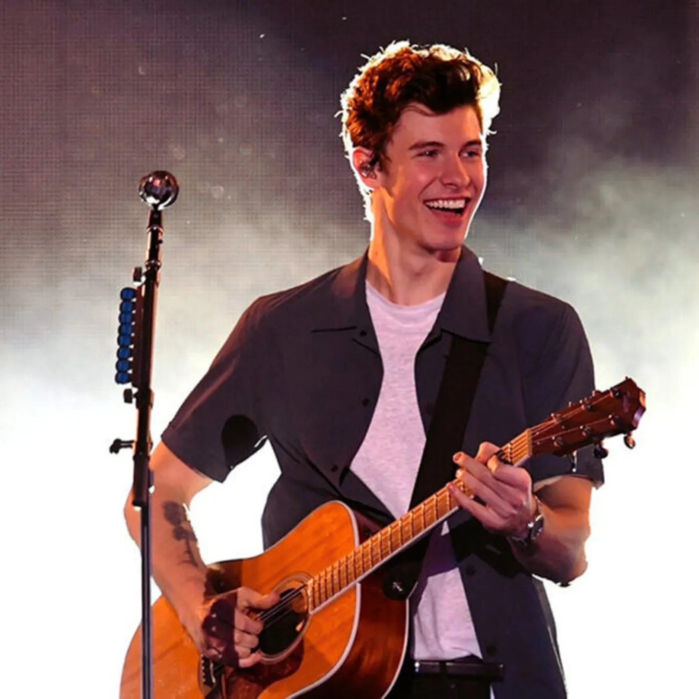 image_683673c353297 Global Media Meltdown After Explosive Leak About Shawn Mendes and Harry Styles
