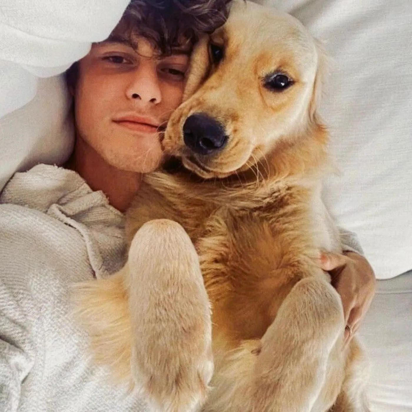 image_68396bf28aae9 Shawn Mendes’s Unexpected Obsession With Dogs Shocks Everyone