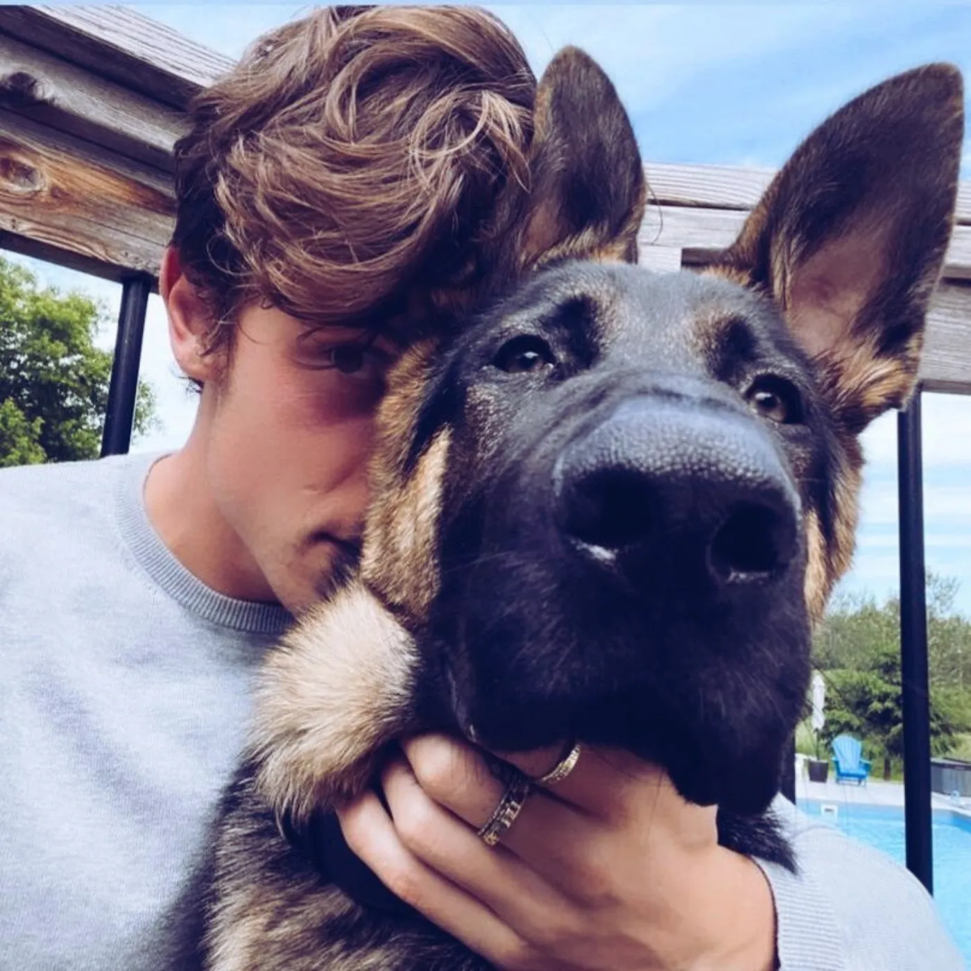 image_68396bf427396 Shawn Mendes’s Unexpected Obsession With Dogs Shocks Everyone