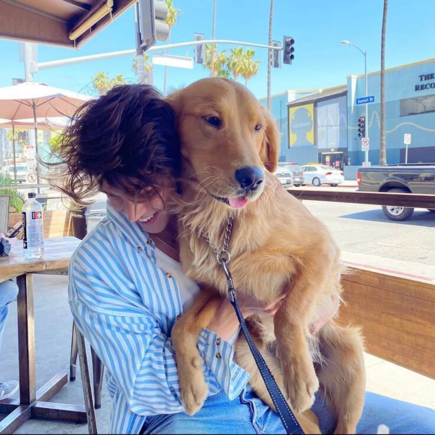 Shawn Mendes’s Unexpected Obsession With Dogs Shocks Everyone 19 Shawn Mendes’s Unexpected Obsession With Dogs Shocks Everyone