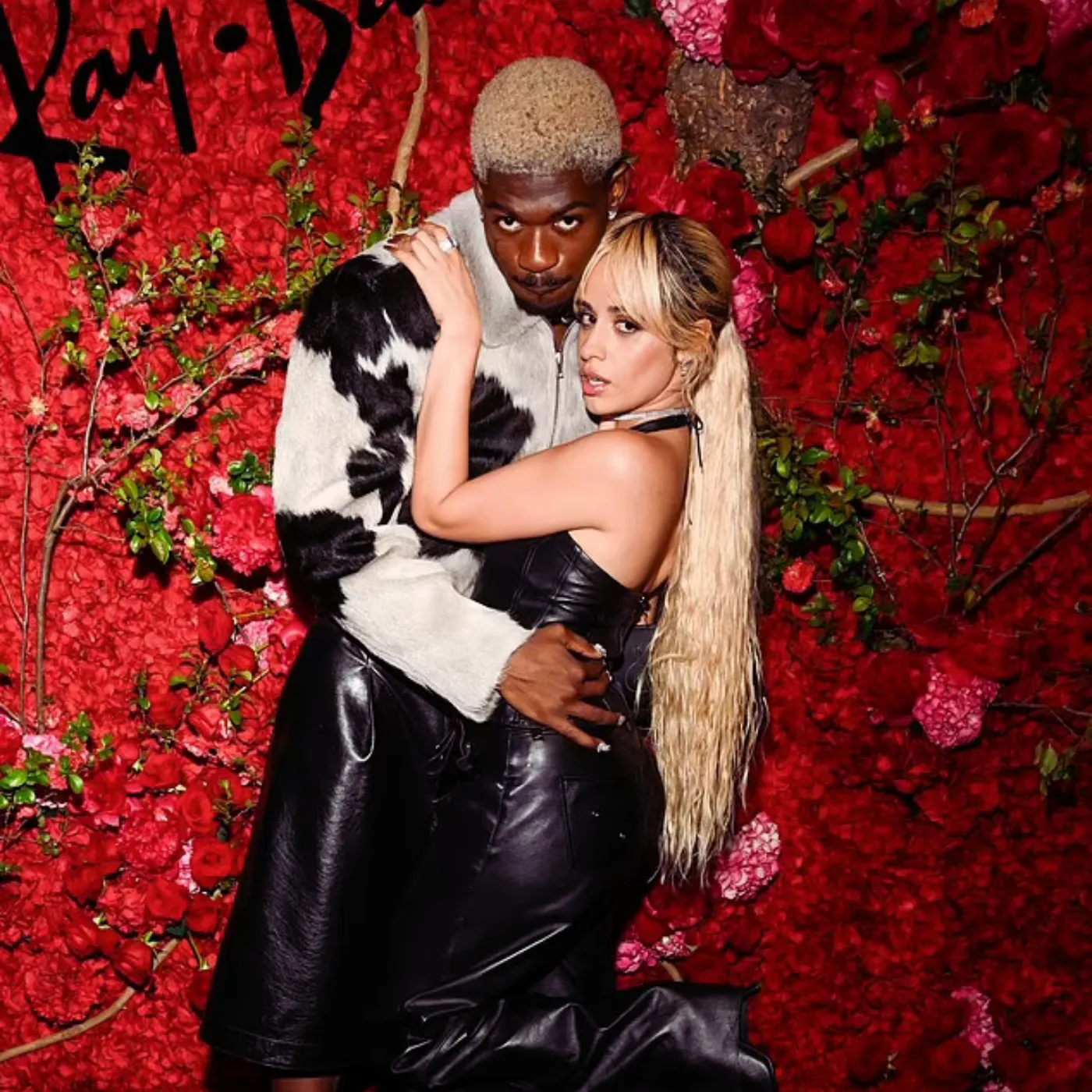 image_683c741e63e7c Someone at the Studio Leaked Camila and Lil Nas X Collab The Lyrics Are Alarming
