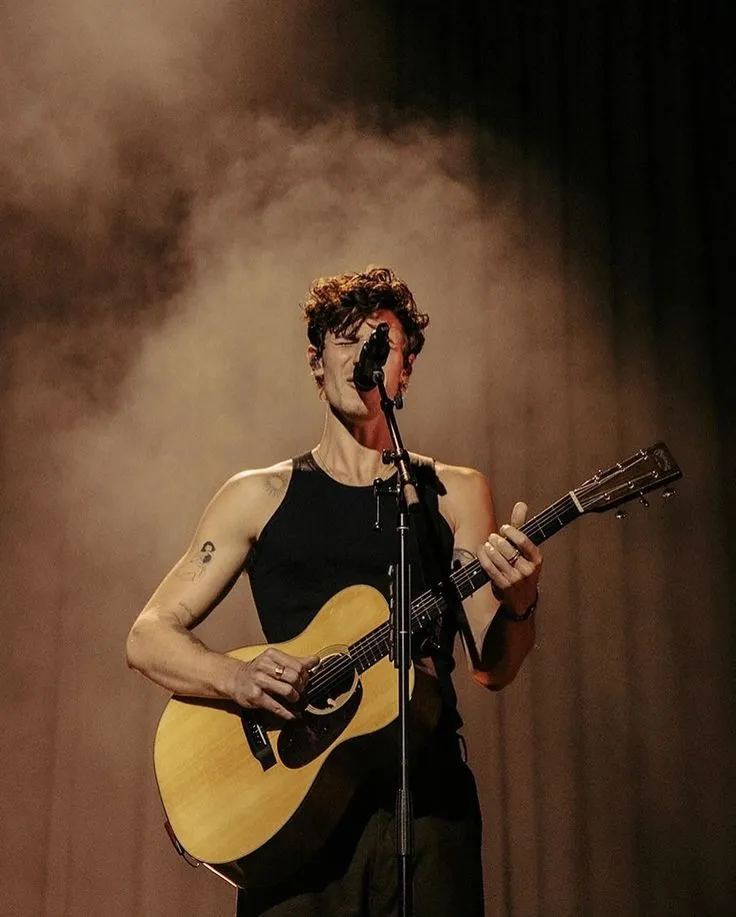 image_683e5400468a3 You’ll Be Shocked to Know Why Shawn Mendes Disappeared at the Peak of His Career… A Tearjerking Story!