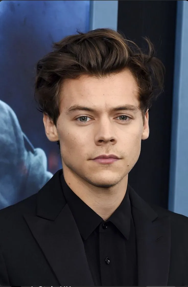 Harry Styles Just Said Something That Froze the Internet! You Won’t Believe How Simple It Is...