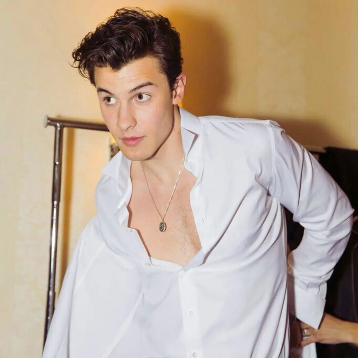 image_68450aa96fb83 Shawn Mendes Shares Poignant Message That Sparks Farewell Speculation