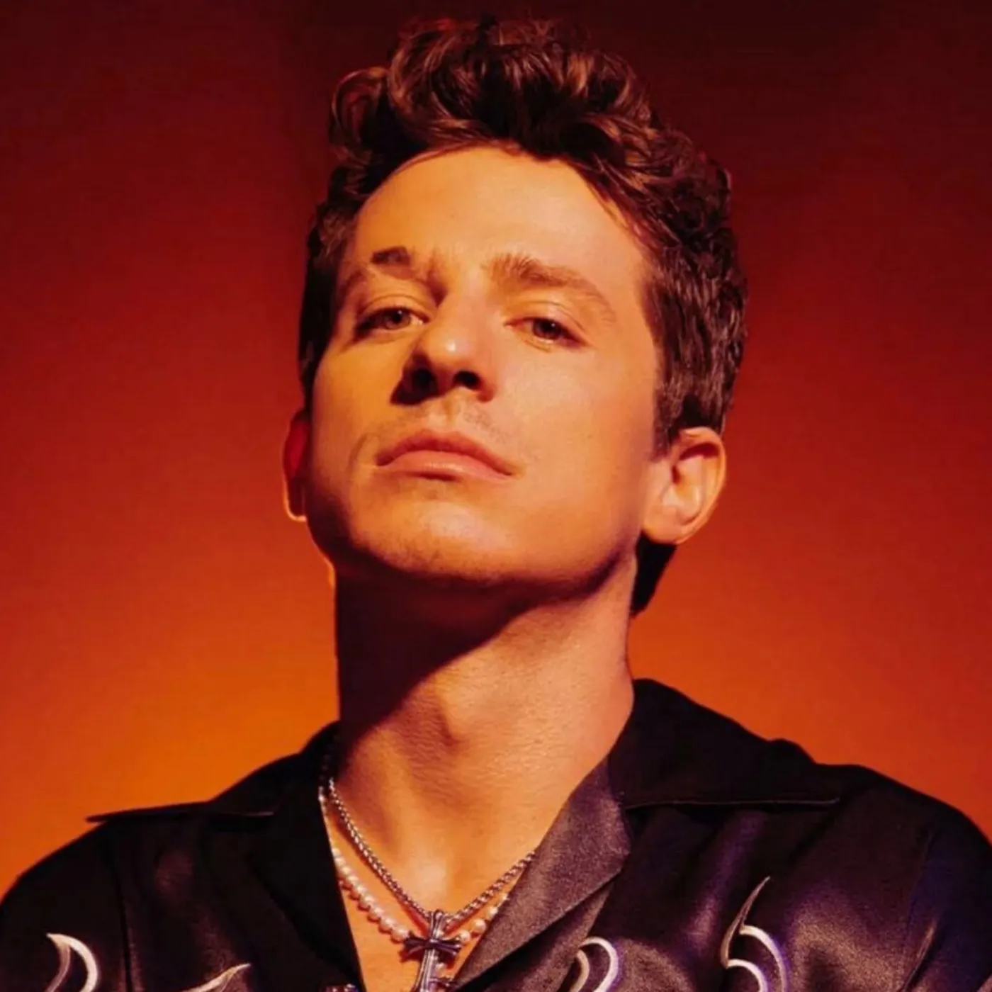 image_68456b734f16c Nobody Expected Charlie Puth to Sing This Protest Song in Stockholm