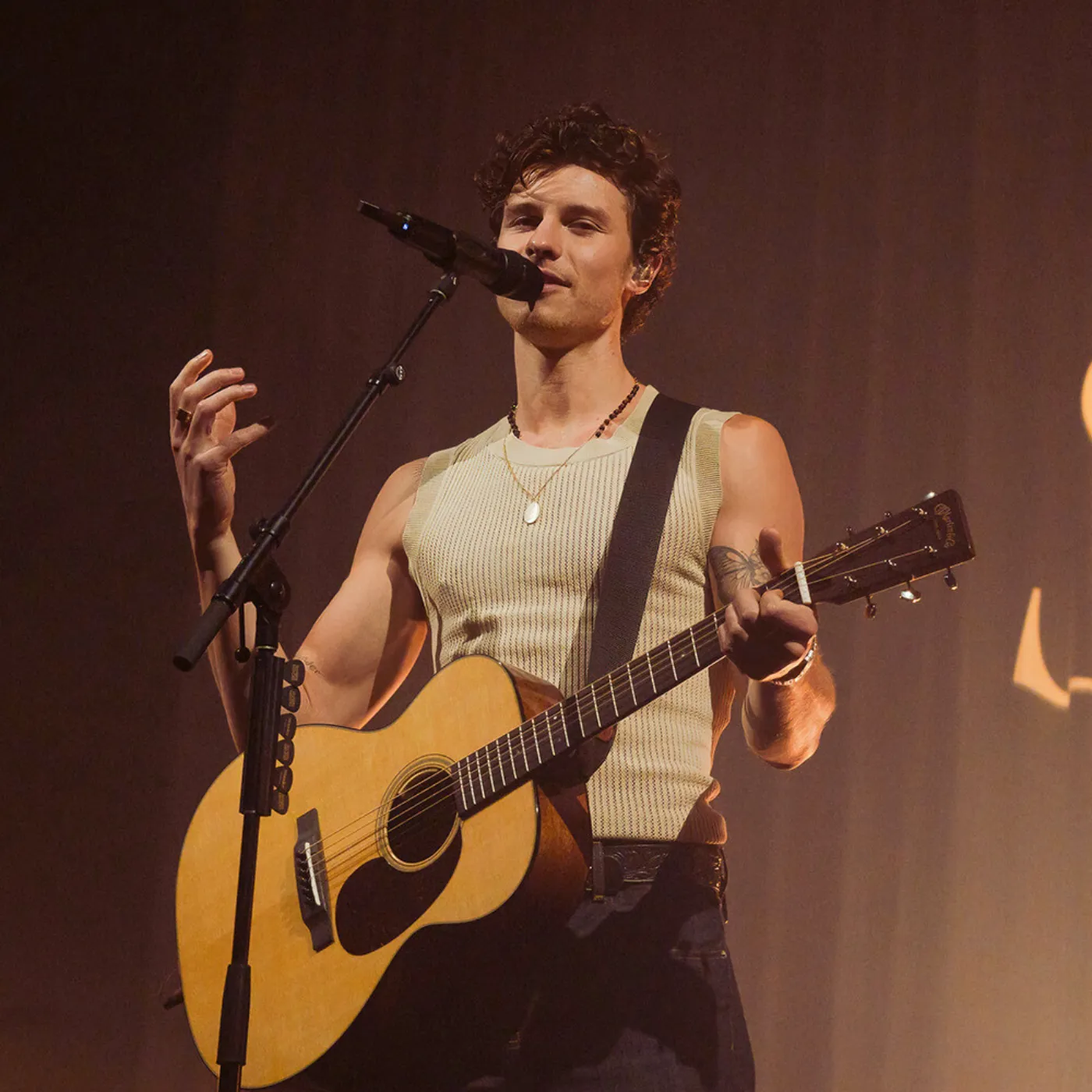 Shawn Mendes and Robert Irwin Spotted Lowkey Chatting Sparking Secret Romance Buzz