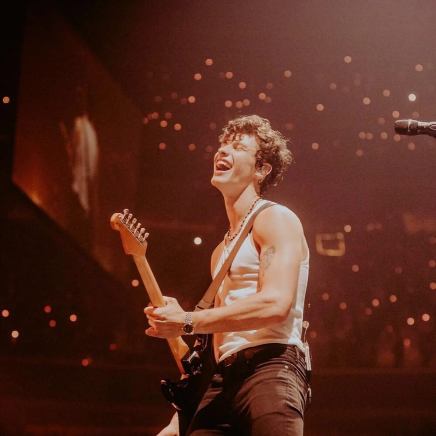 image_684643824543a "I Cried There" — Shawn Mendes Opens Up About Sleepless, Life-Changing Moment in India