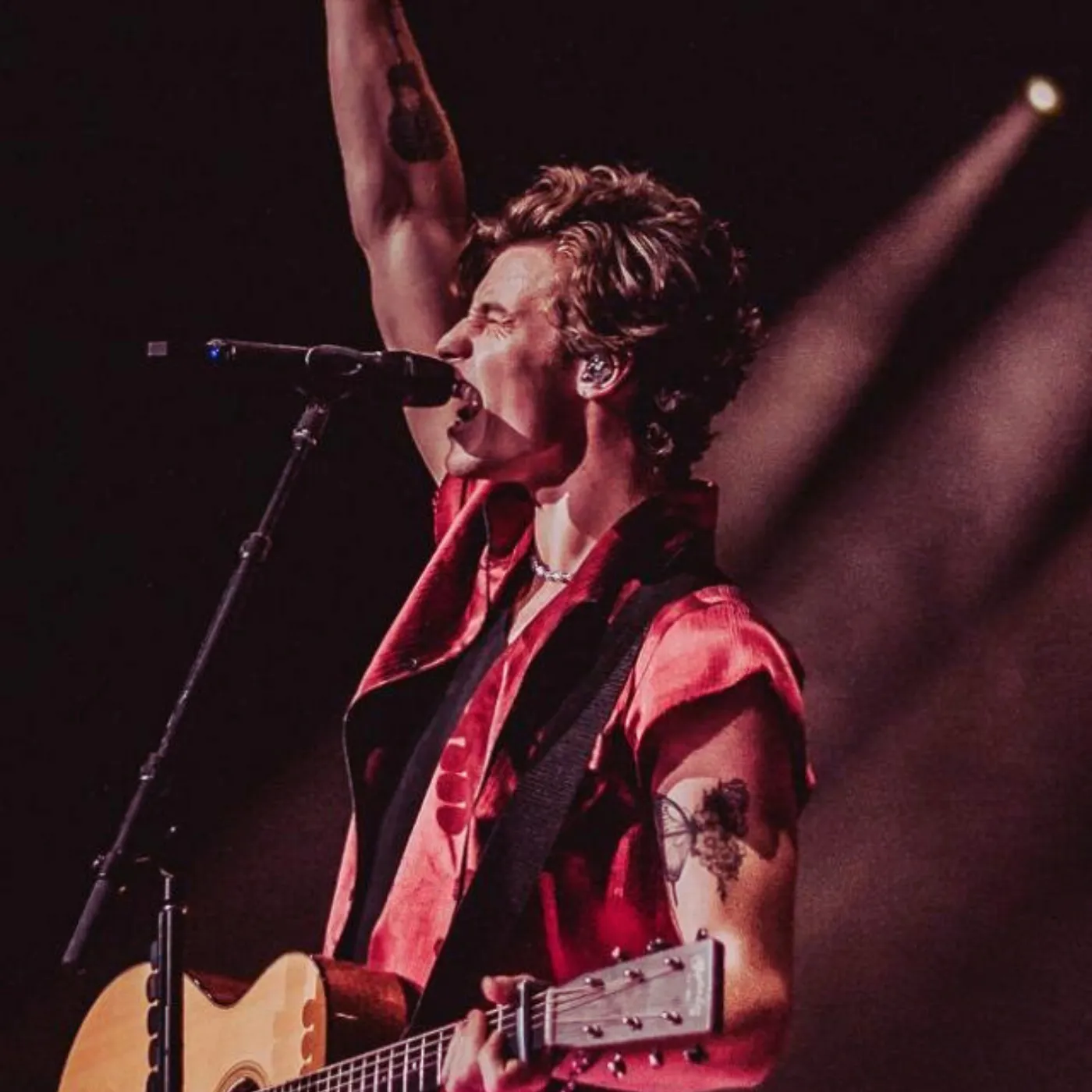 image_6849362028069 Shawn Mendes Hits 100 Million Singles Sold But His Rise Ignites Fierce Online Debate