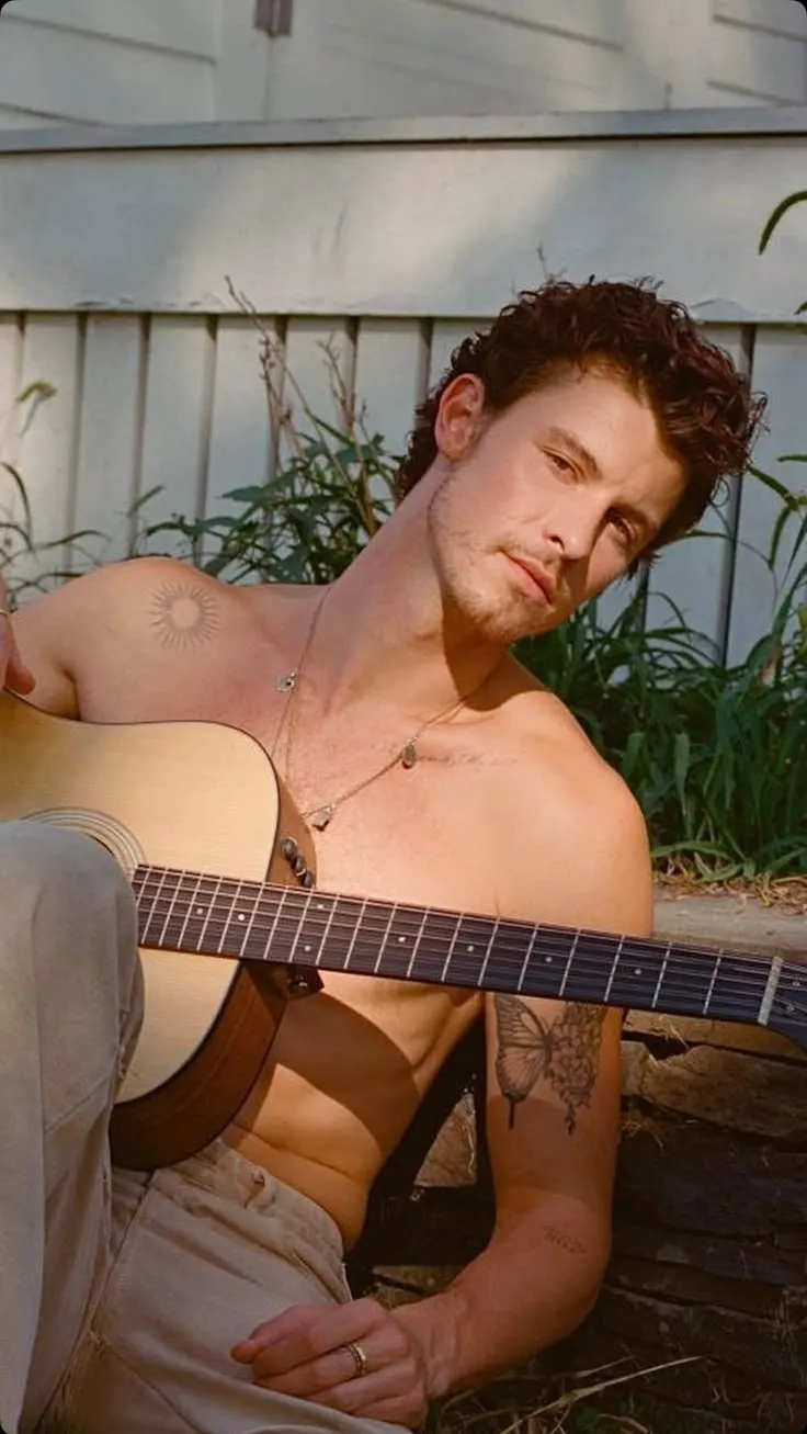 image_684cf9034372c Internet MELTS as Shawn Mendes Drops Vocals, Face, and Body in One Go