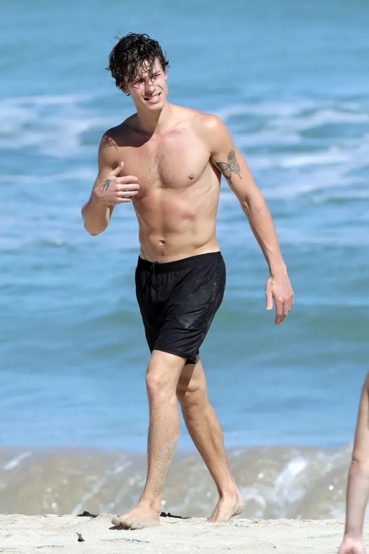 image_684cf903bd14c Internet MELTS as Shawn Mendes Drops Vocals, Face, and Body in One Go