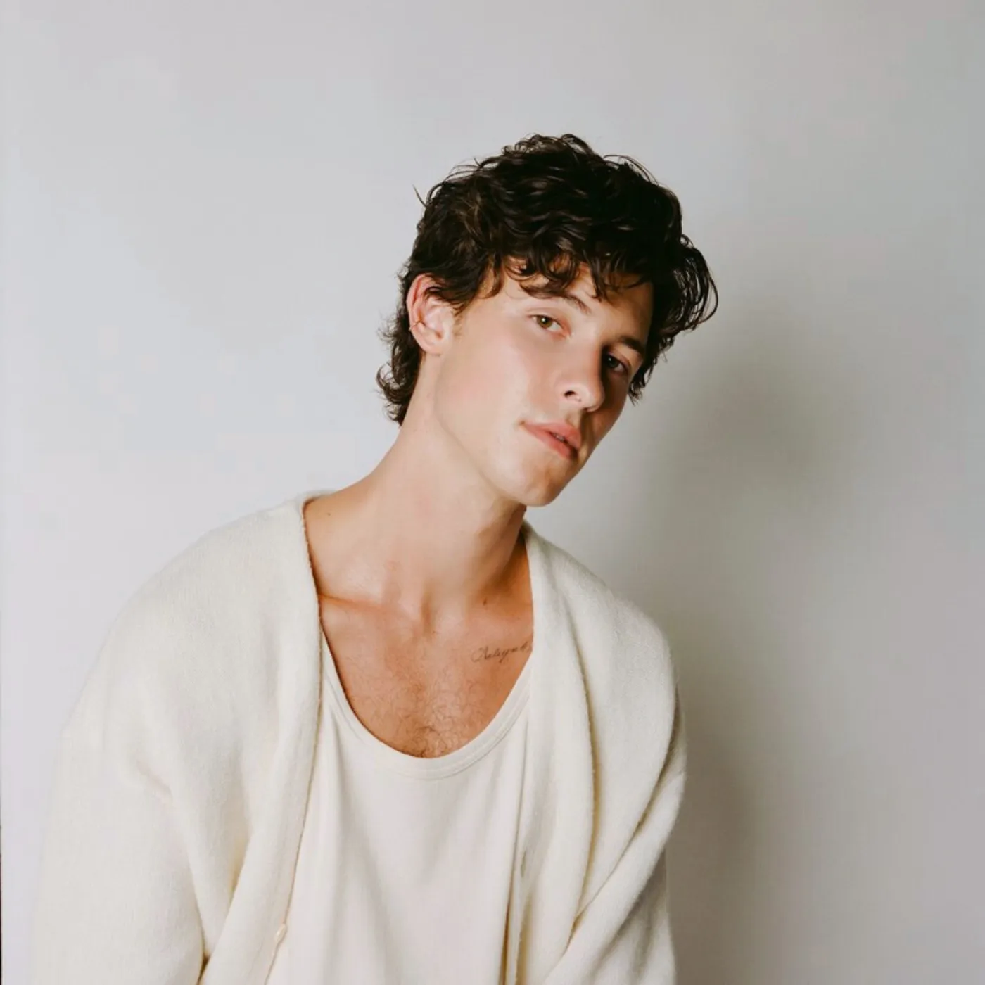 image_684e5a480ab8f Shawn Mendes Gets Exposed in the Most Unexpected Way Possible