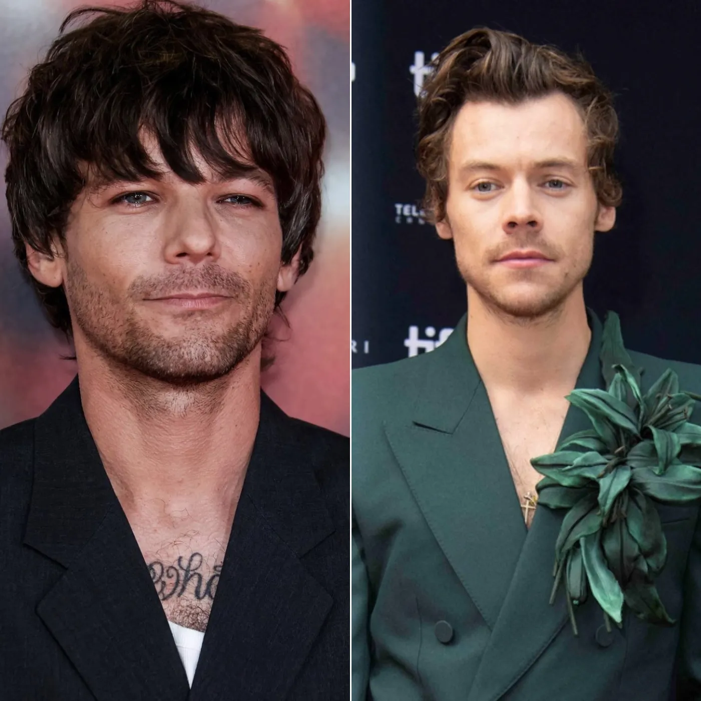 Not What You Expected: Louis Tomlinson Spills the Truth on Harry Styles Rift